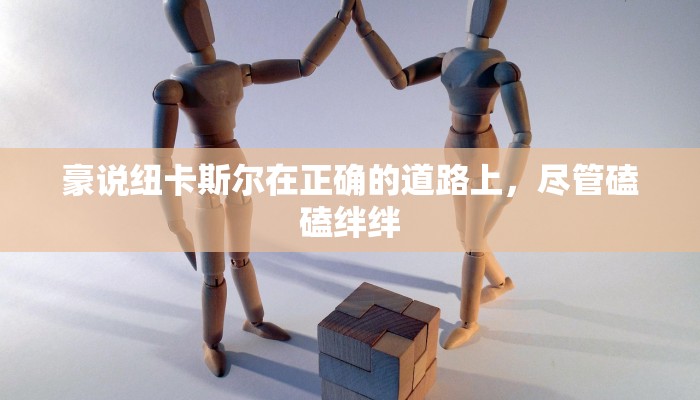 豪说纽卡斯尔在正确的道路上，尽管磕磕绊绊