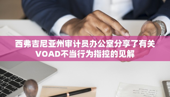 西弗吉尼亚州审计员办公室分享了有关VOAD不当行为指控的见解