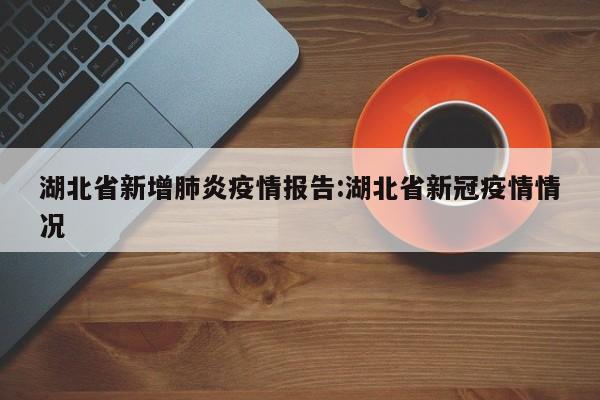 湖北省新增肺炎疫情报告:湖北省新冠疫情情况