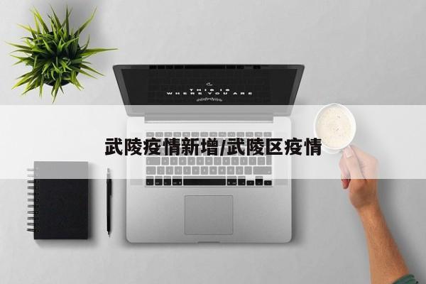 武陵疫情新增/武陵区疫情