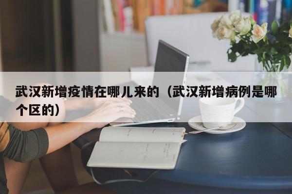 武汉新增疫情在哪儿来的（武汉新增病例是哪个区的）